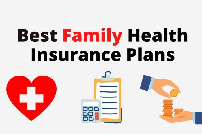 Top Health Insurance Plans for Families in USA