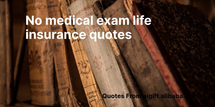 Best Life Insurance Policies with No Medical Exam Options