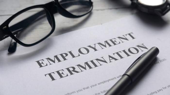 Top Employment Lawyers for Wrongful Termination Cases