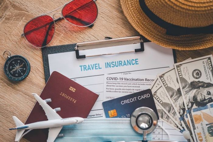 Best Travel Insurance for International Trips Made Easy