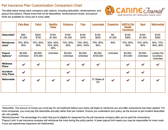Top Pet Insurance Plans in the US (Compare Coverage)